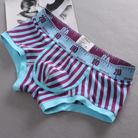 New Striped Boxer Briefs  Men's Comfortable Underwear Breathable Cotton Trunks with Elastic Waistband