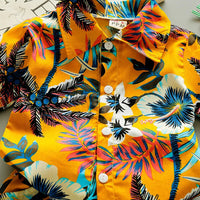 Baby Boy Clothes 0-5Y Summer New Beach Fashion Children Suits Boys Clothing Printed Shirts Short Sleeves Shorts Boys Two Pieces